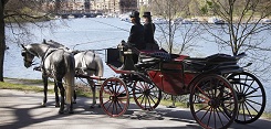 Champagnetur med Häst & Vagn